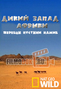 [HD] Дикий Запад Африки. Жеребцы пустыни Намиб / Africa's Wild West. Stallions of the Namib Desert / 2014