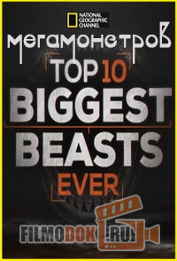 [HD] Топ-10 мегамонстров / Top 10 Biggest Beasts Ever / 2015 National Geographic.