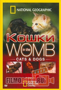 Жизнь до рождения. Кошки / In The Womb. Cats / 2009
