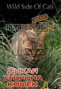 [HD] Дикая сторона кошек / Wild Side of Cats / 2012