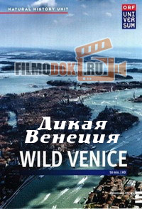 [HD] Дикая Венеция / Wild Venice / 2014