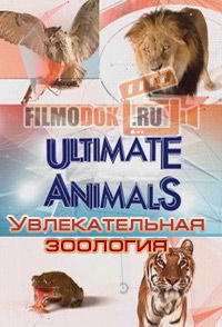 [HD] Увлекательная зоология / Ultimate Animals / 2015