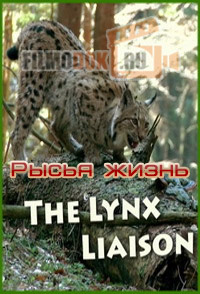 [HD] Рысья жизнь / The Lynx Liaison / 2014