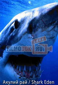 [HD] Царство акул / Shark Eden / 2010