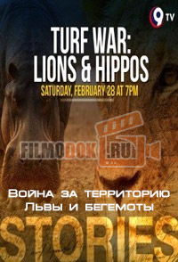 [HD] Война за территорию. Львы и бегемоты / Turf War. Lions and Hippos / 2013