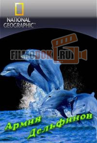 [HD] Армия дельфинов / Dolphin Army / 2009 National Geographic