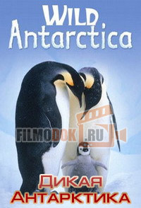 [HD] Дикая Антарктика / Wild Antarctica / 2015
