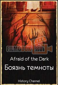 Боязнь темноты / Afraid of the Dark / 2010