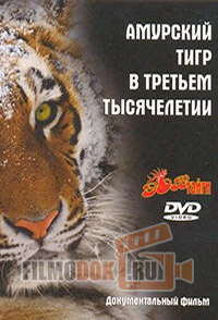 Амурский тигр в третьем тысячелетии / 2010