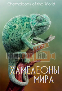[HD] Хамелеоны мира / Chameleons of the world / 2011