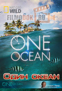 Один океан / One Ocean / 2010