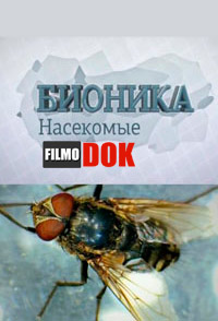 Бионика. Насекомые (2013)